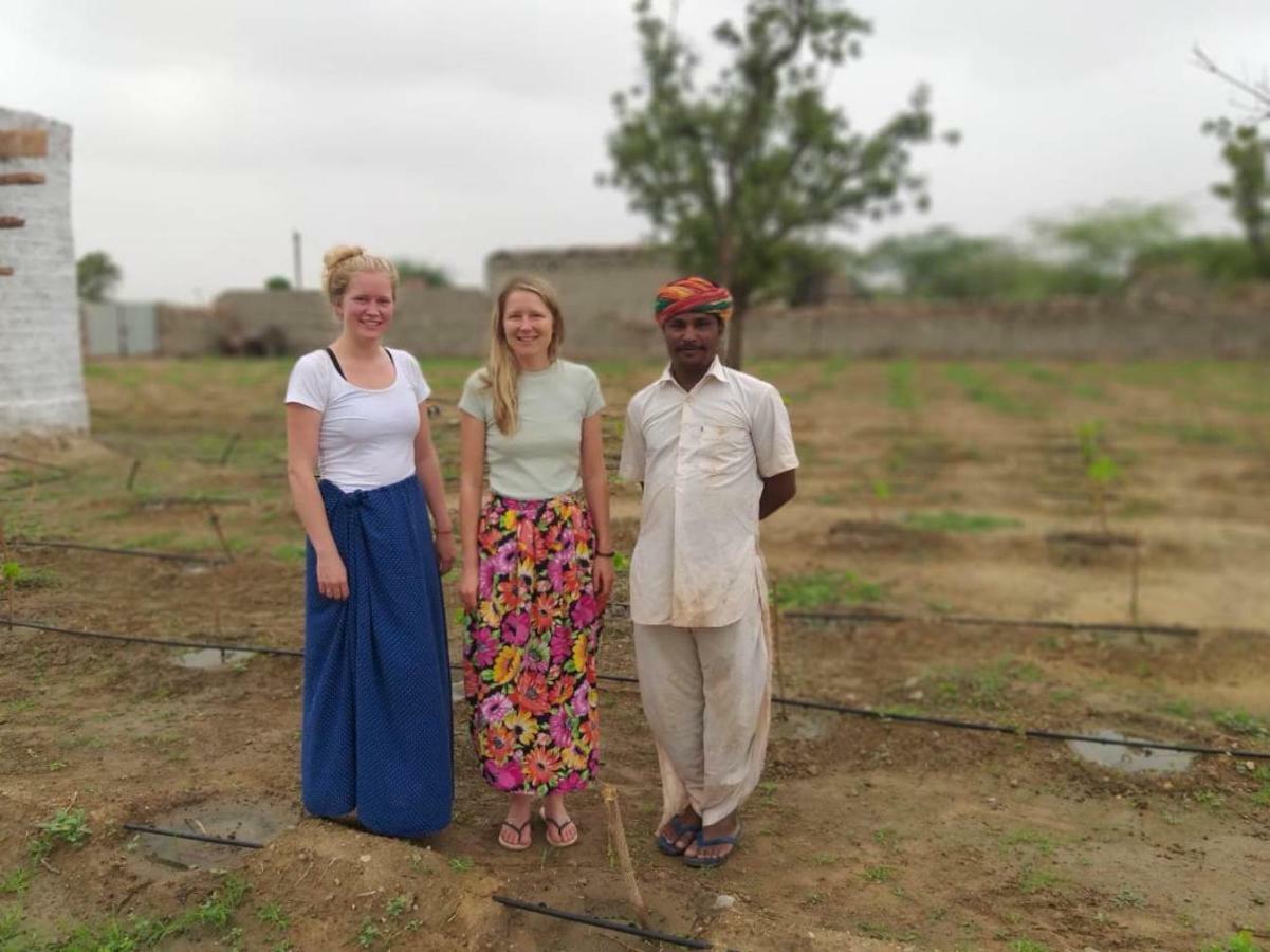 Bishnoi Village Home Stay Dźodhpur Zewnętrze zdjęcie